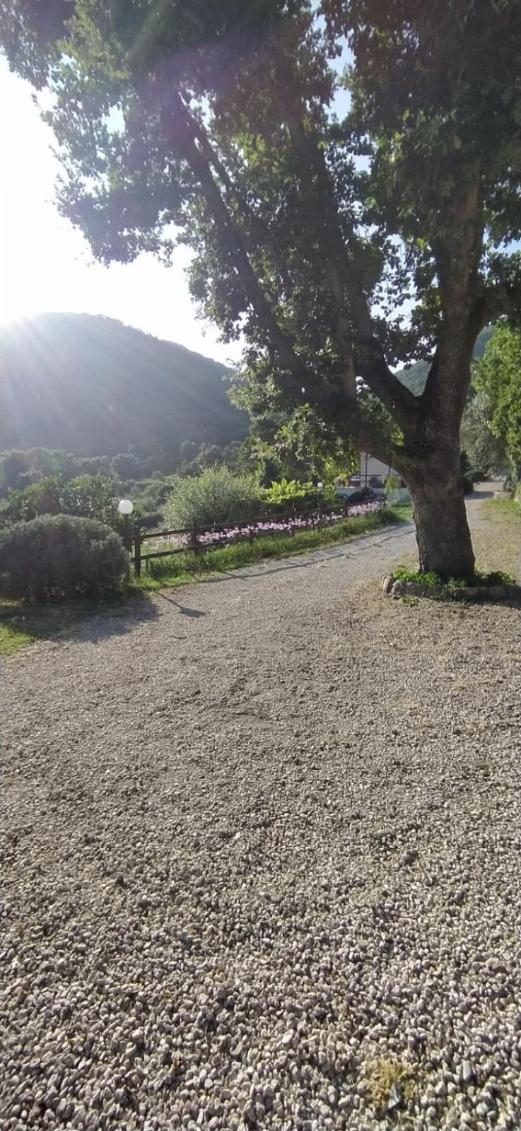 Azienda Agricola Biologica La Cardellina Tolfa Exterior photo