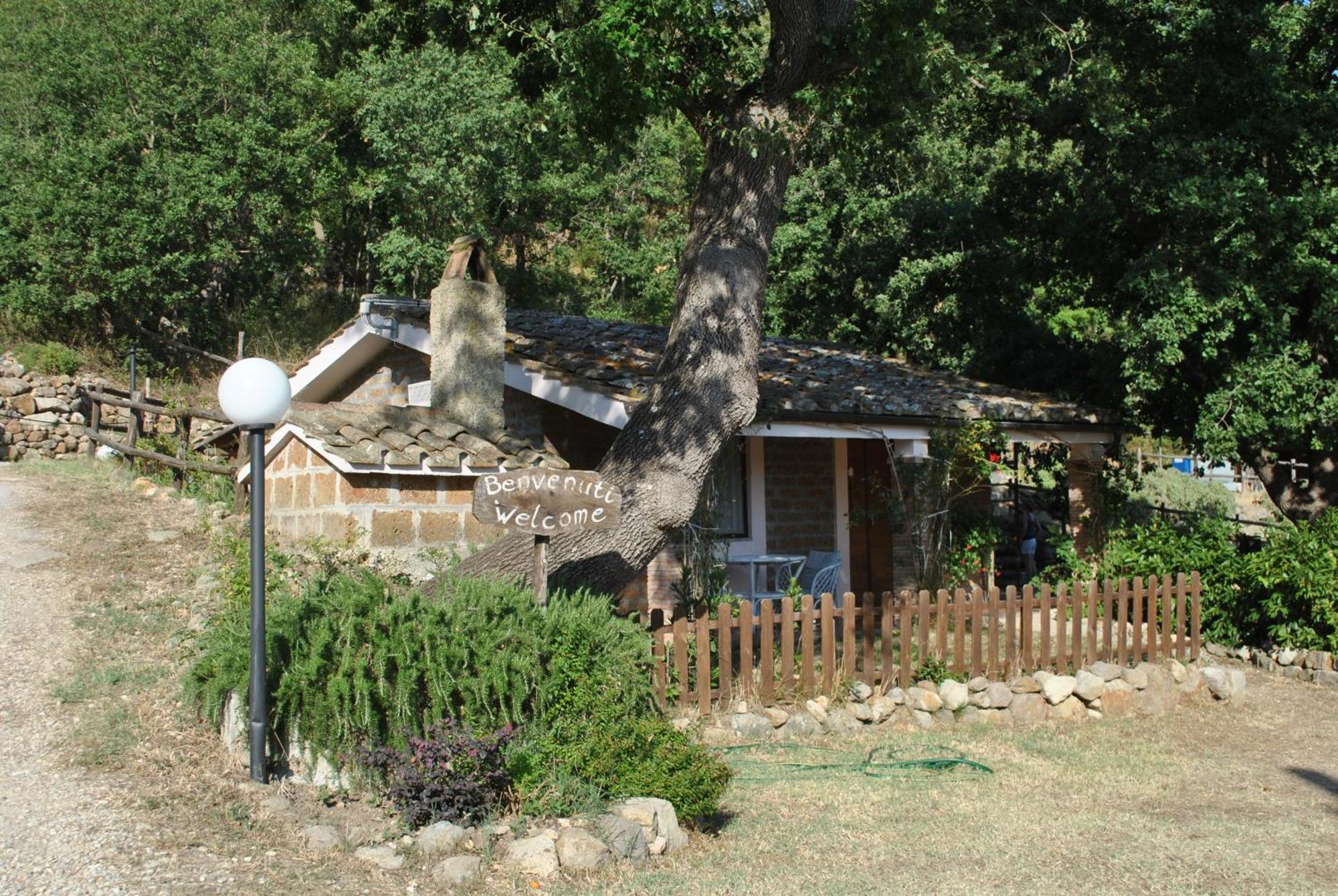 Azienda Agricola Biologica La Cardellina Tolfa Exterior photo