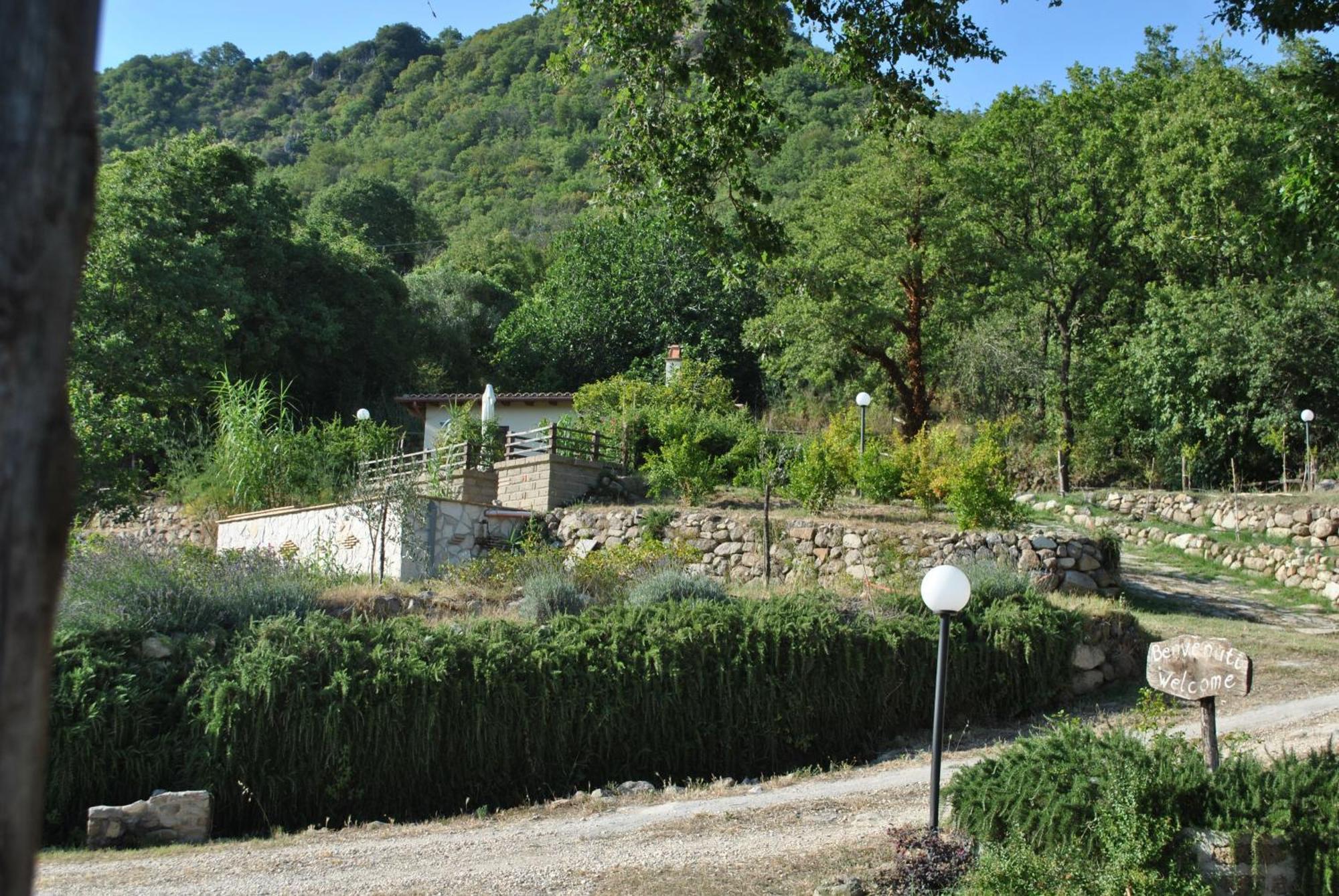 Azienda Agricola Biologica La Cardellina Tolfa Exterior photo