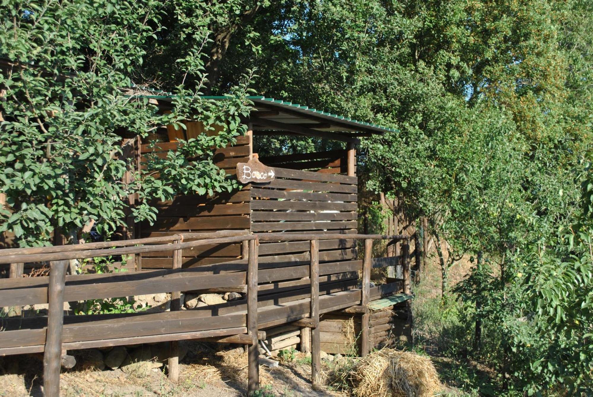 Azienda Agricola Biologica La Cardellina Tolfa Exterior photo